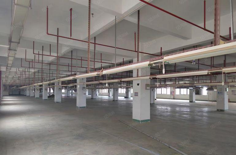 靓 三栋新出高大上10万平米厂房招租