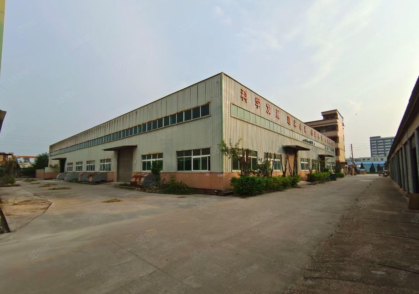 水口东江工业园一楼8米高钢构4000平方出租，可分租