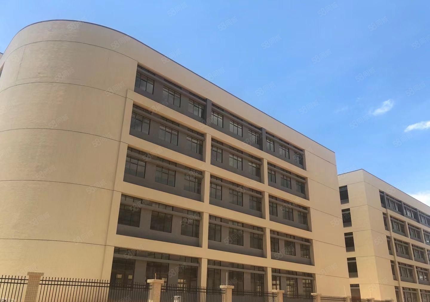 三栋镇全新红本厂房1550平方 租金10元 可分租