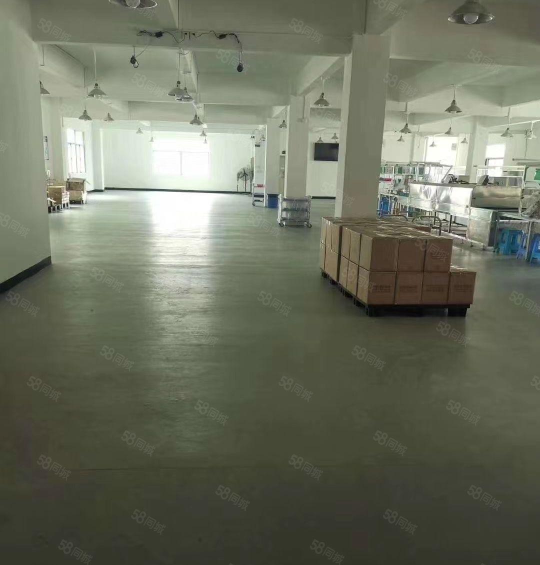 水口湖滨公园 独院三层1600平带装修厂房出租