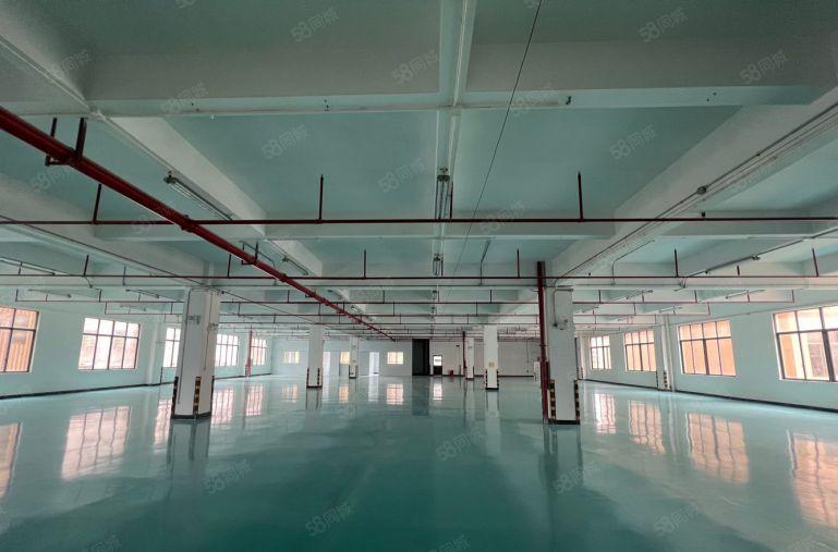 惠城新出原房东2000平米带装修水电齐全大小可分特价厂房出租