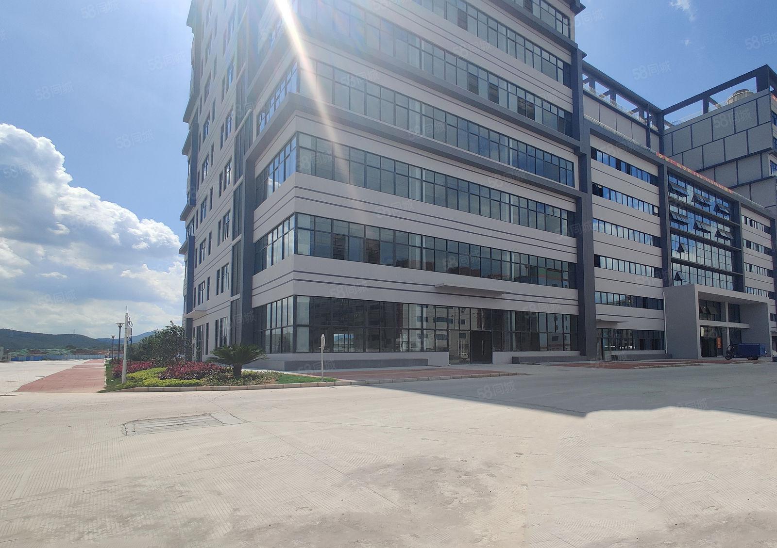 10元起原房东无公摊可分租惠城小金口红本独院厂房仓库一楼出租