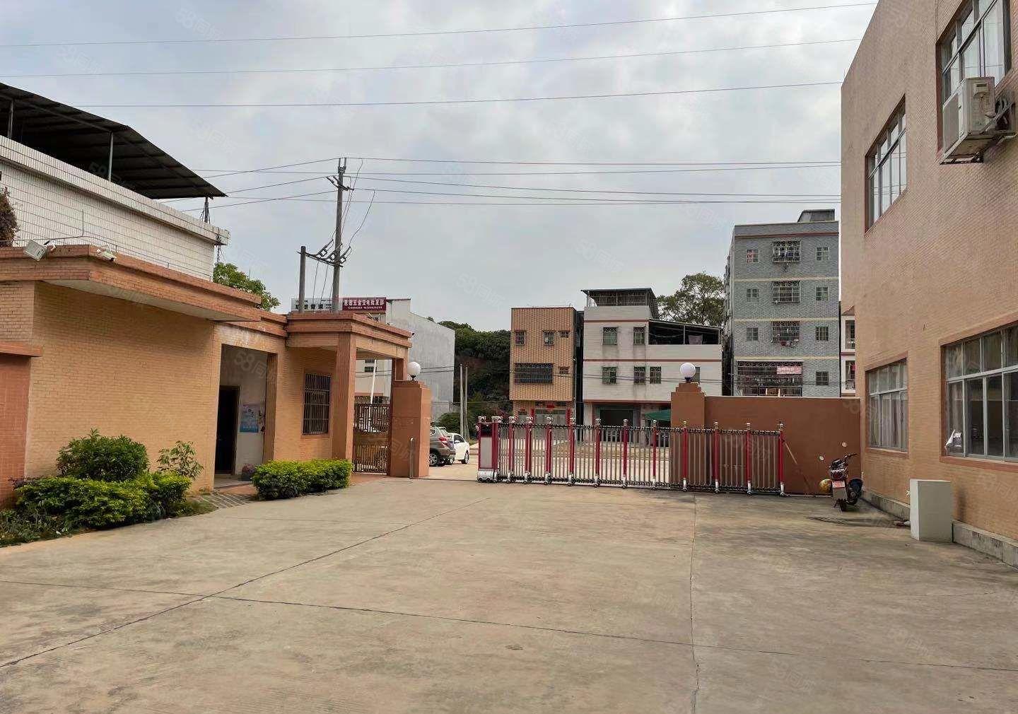 惠城区原房东全新独院厂房10500平方招租（花园式厂房）