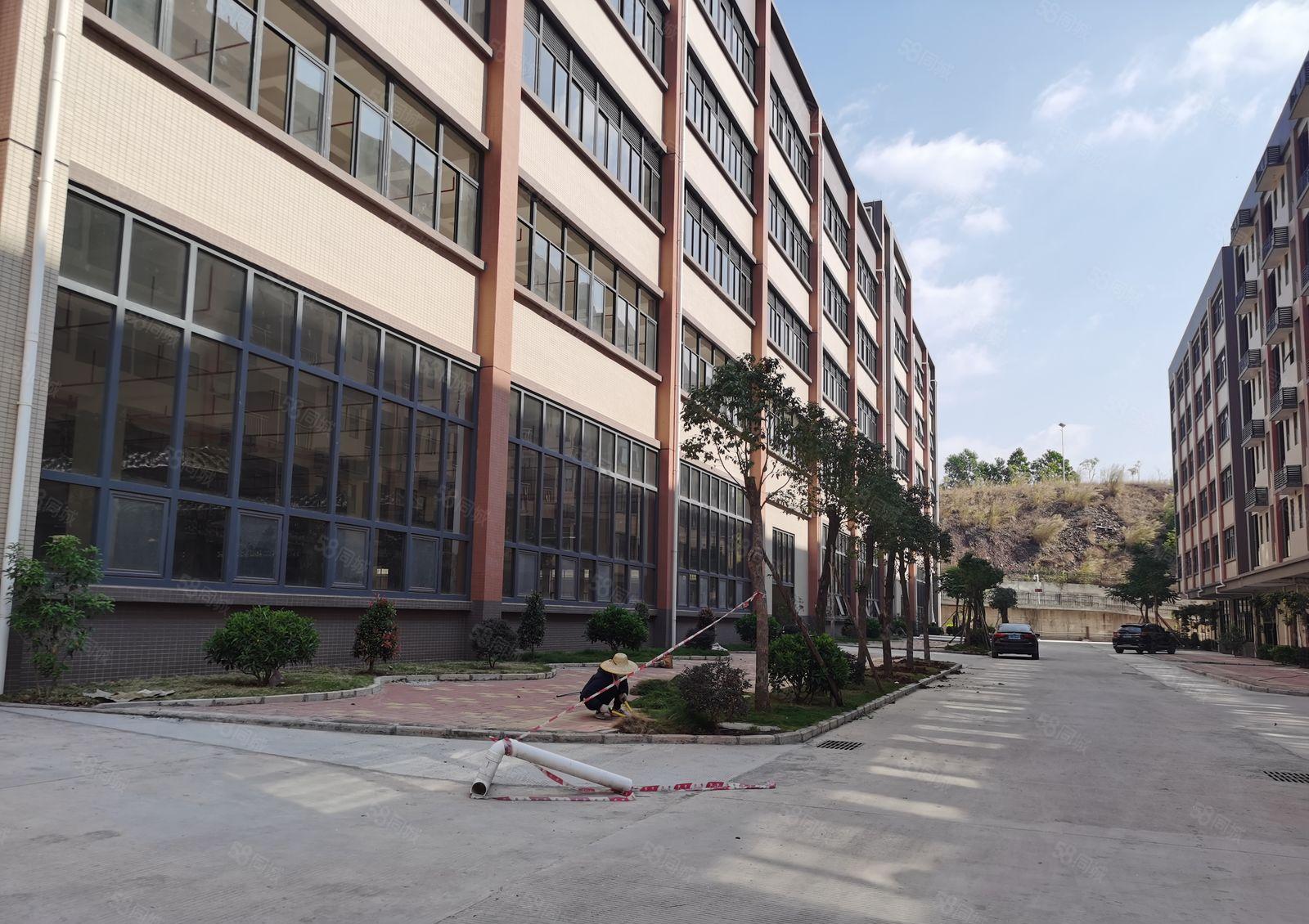 水口东江高新区原业主30000平出租