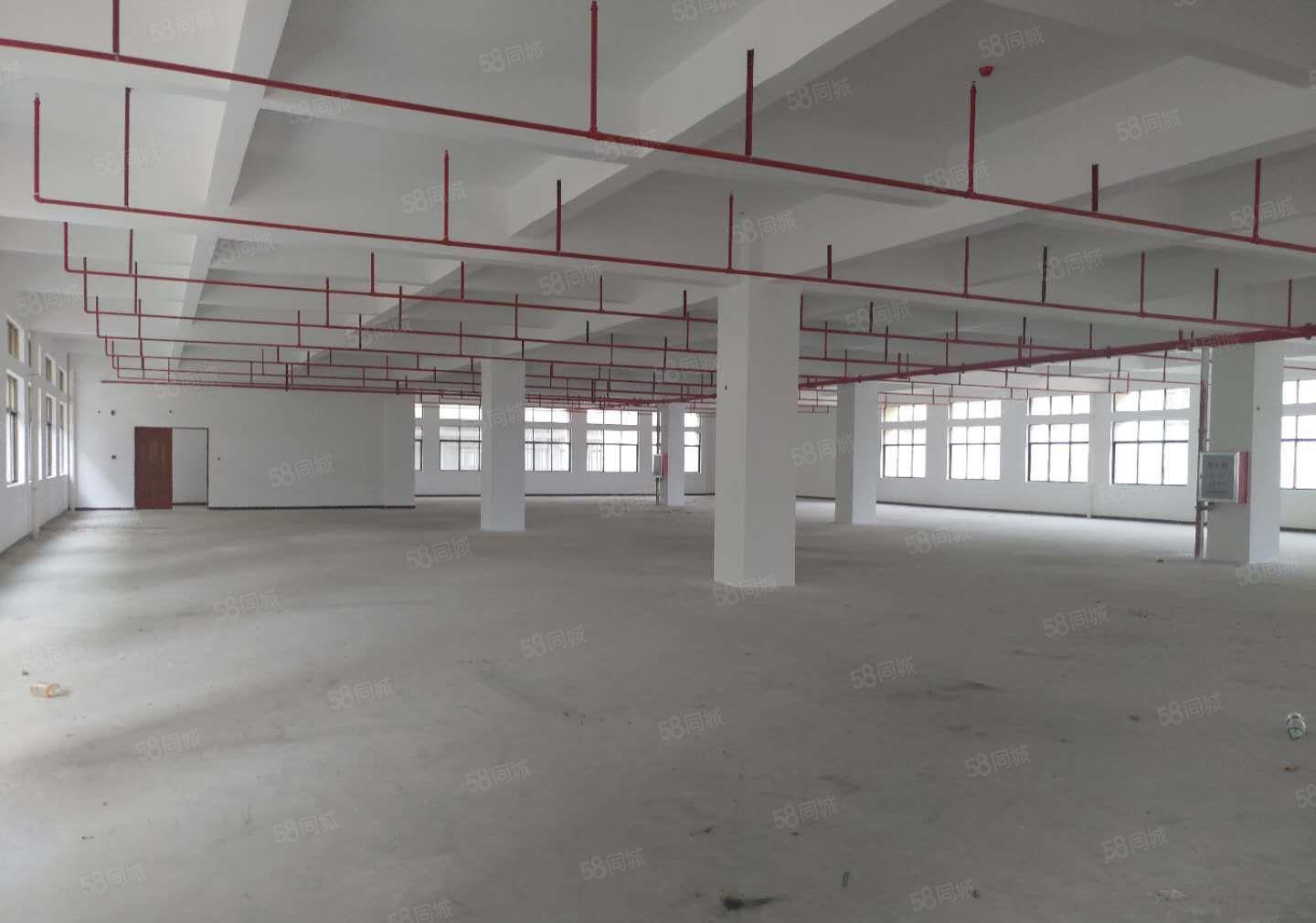 9.9元特价三栋镇全新厂房5楼1550平方出租，全新两吨货梯