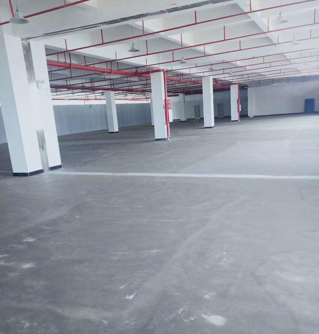 惠城区三栋数码园一楼标准厂房出租 1600平方 现成水电