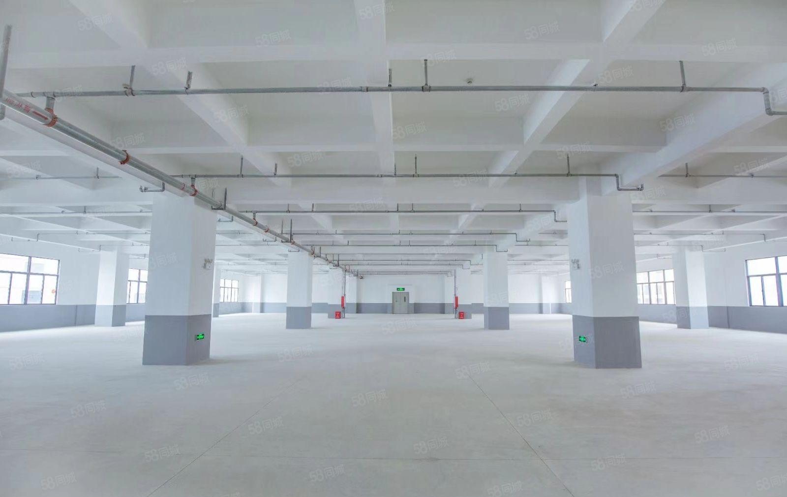 惠城水口千亿东江湾38万平全新高端产业园剩余部分厂房9元起租