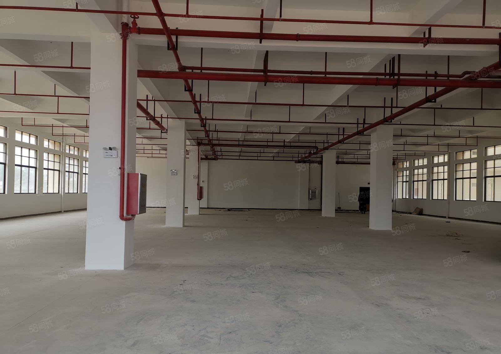 三栋新出一楼厂房1000平 租16元 适合小加工行业