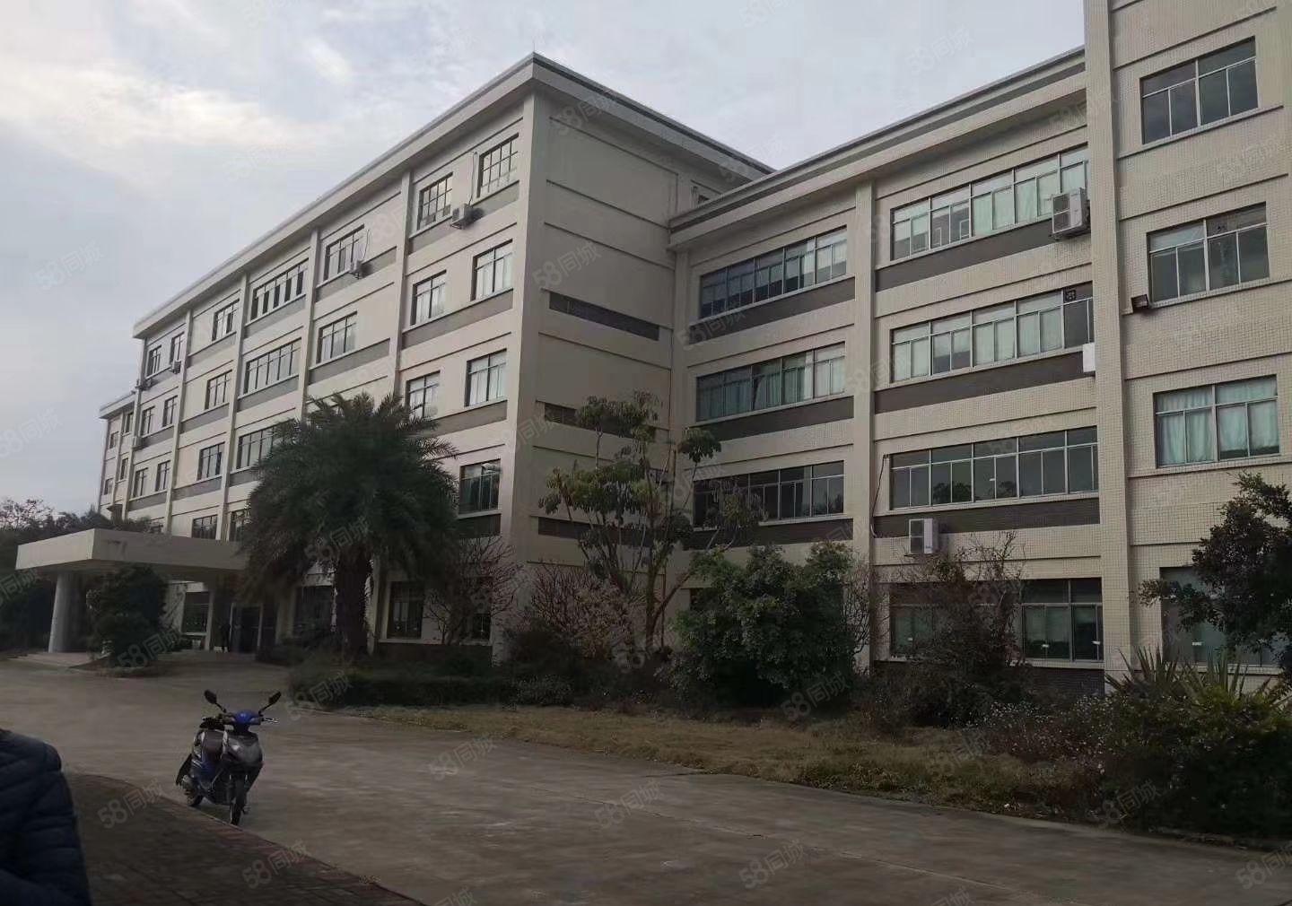 惠城区三栋数码园一楼标准厂房出租 1600平方 现成水电