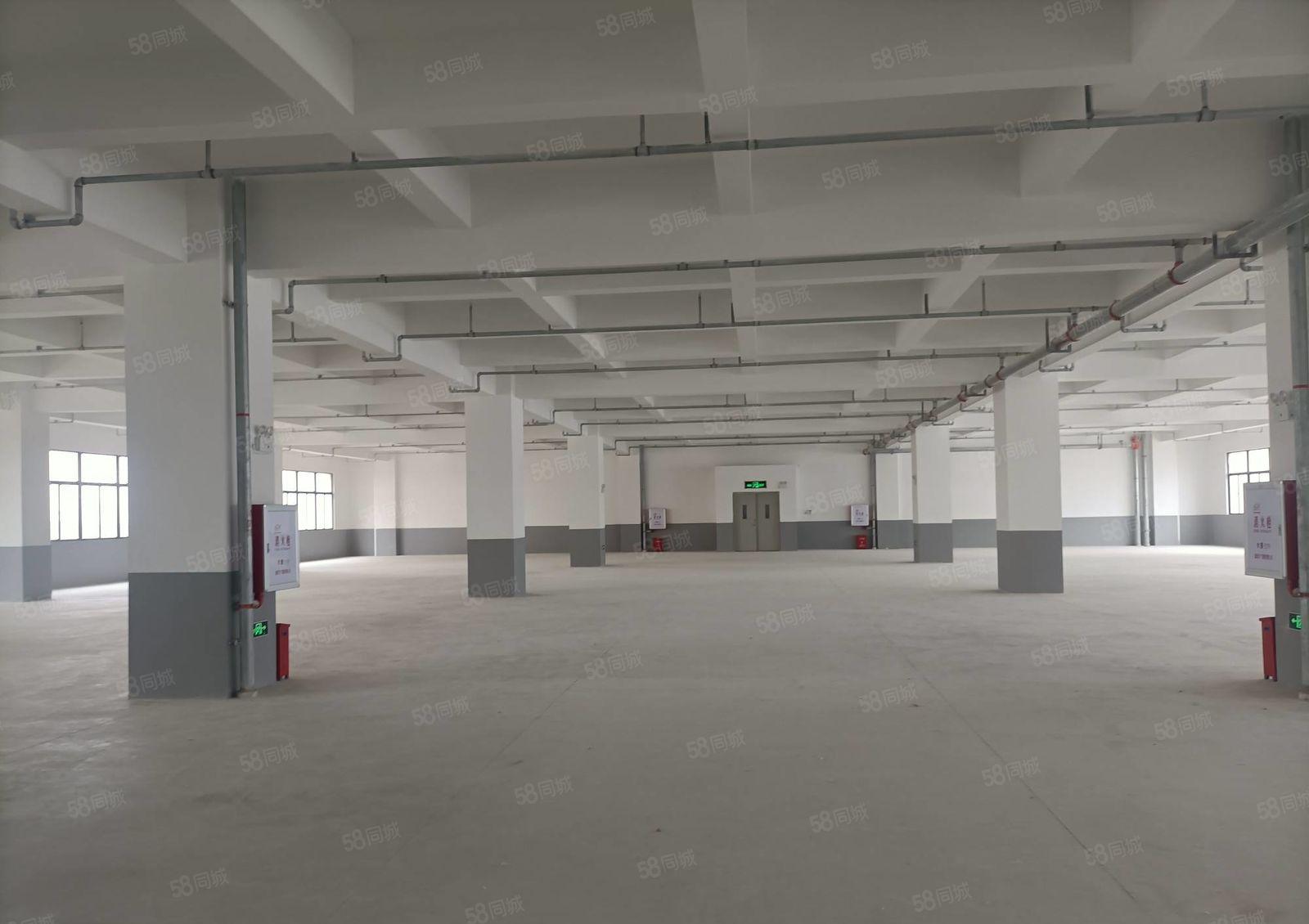 水口东江工业区全新工业厂房1500平方  10元出租