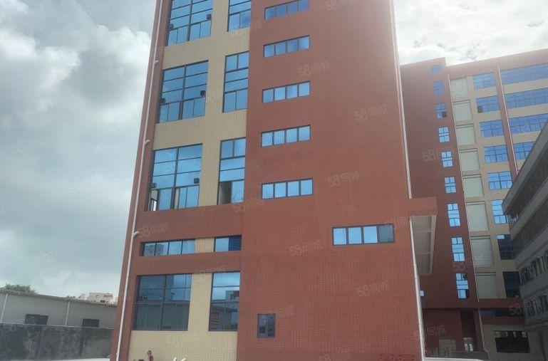 惠城小金口55000平原房东园区仓库仓库厂房出租超大空地