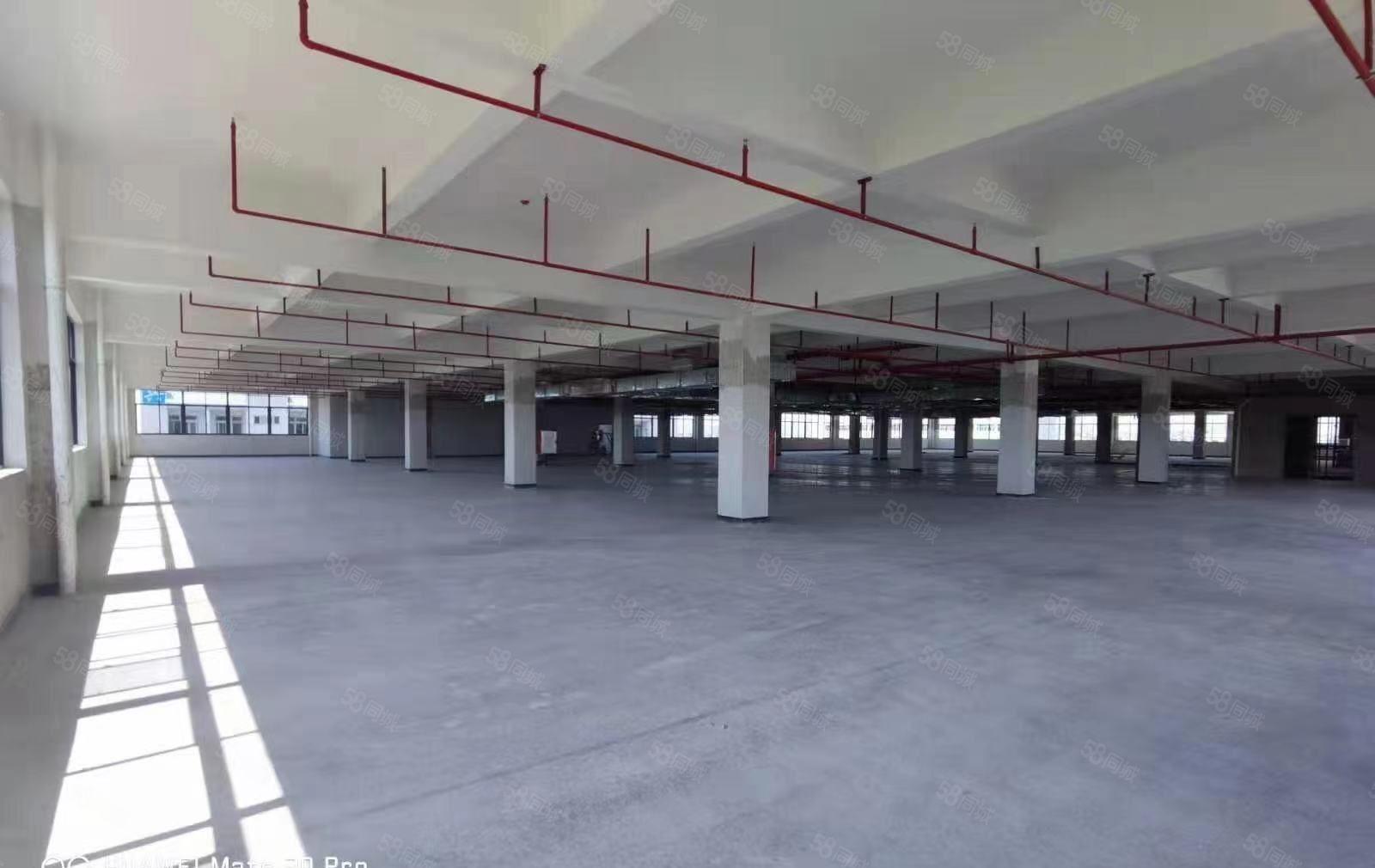 惠城区小金口标准工业园区2楼3楼无尘车间2350平方招租