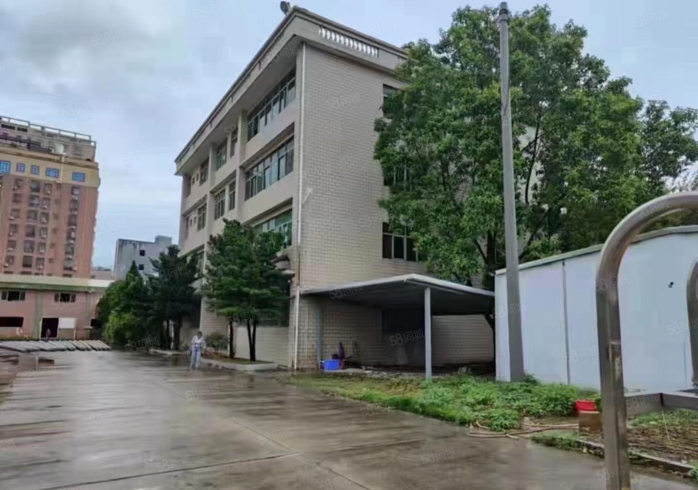 惠城区下角附近原房东独院厂房8000平方出租