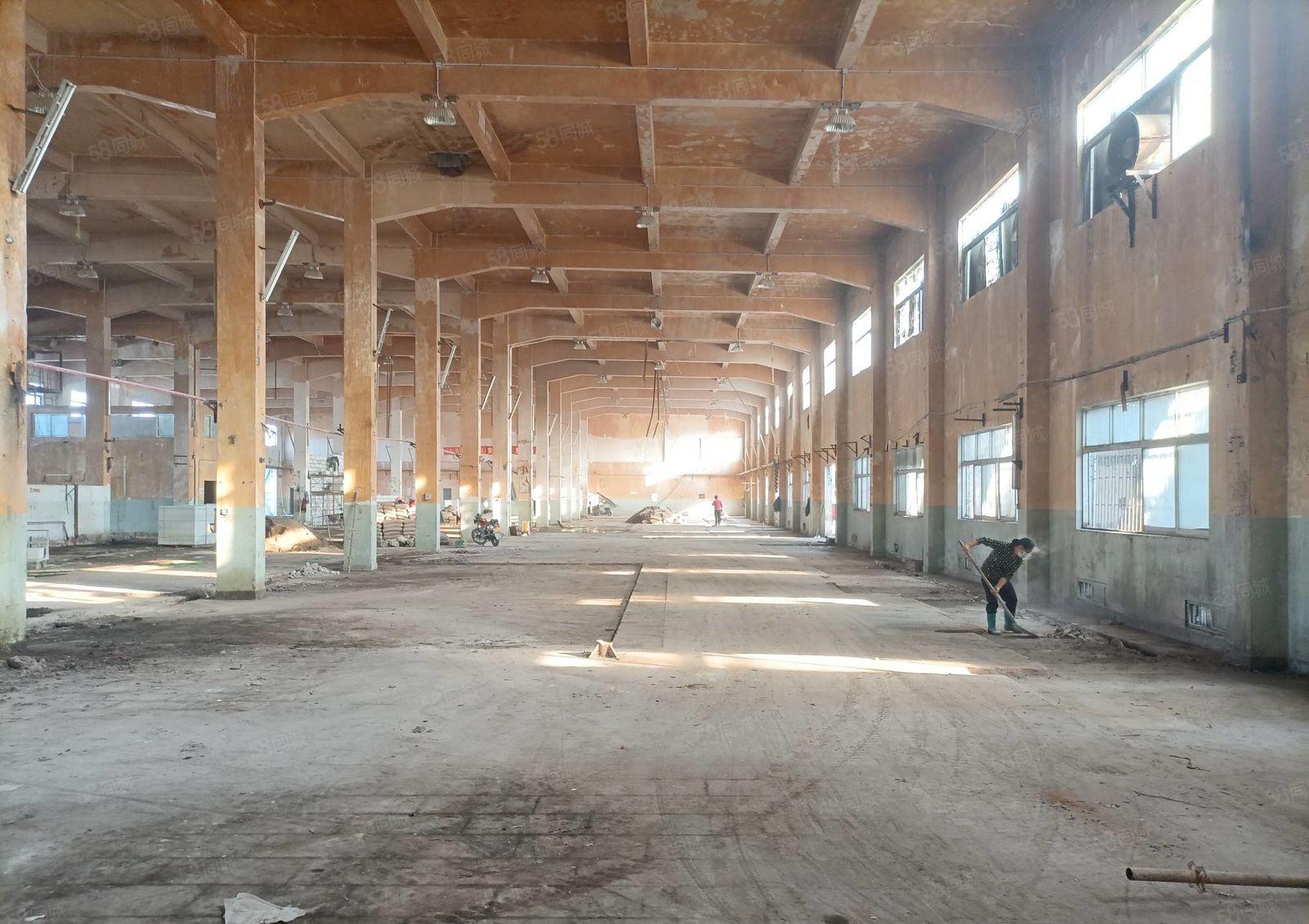 （信）惠城独院钢构4980平，单一层楼房3800平，滴水9米