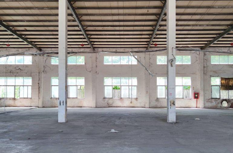 惠城小金口800平不限行业单一层钢结构低价厂房仓库出租分租