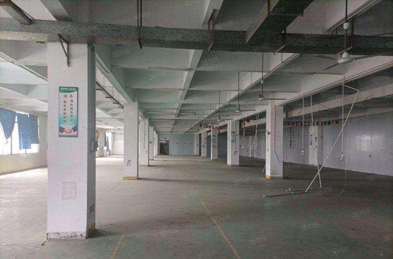 ~~~~~三栋~~~8000平楼上厂房，长度100米~~~~