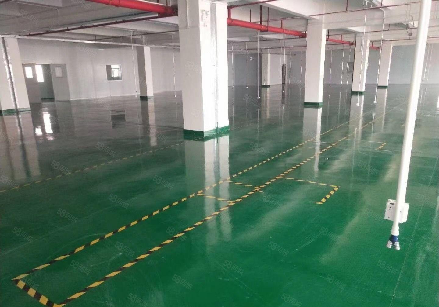 水口荔枝城工业区500至2000平方标准厂房，租金10元证件