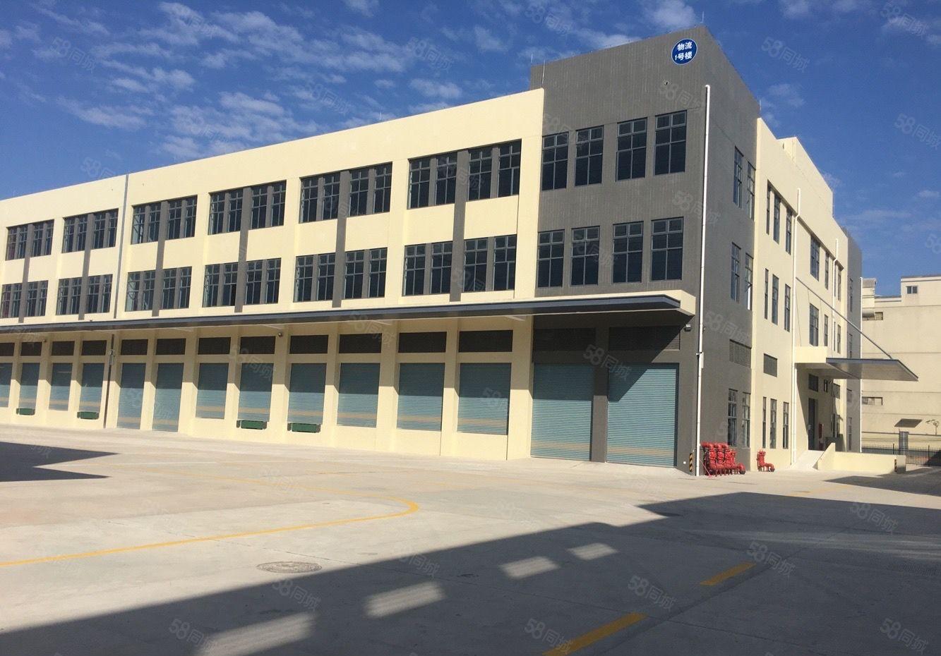 惠城区江北标准物流仓库招租（可分租）