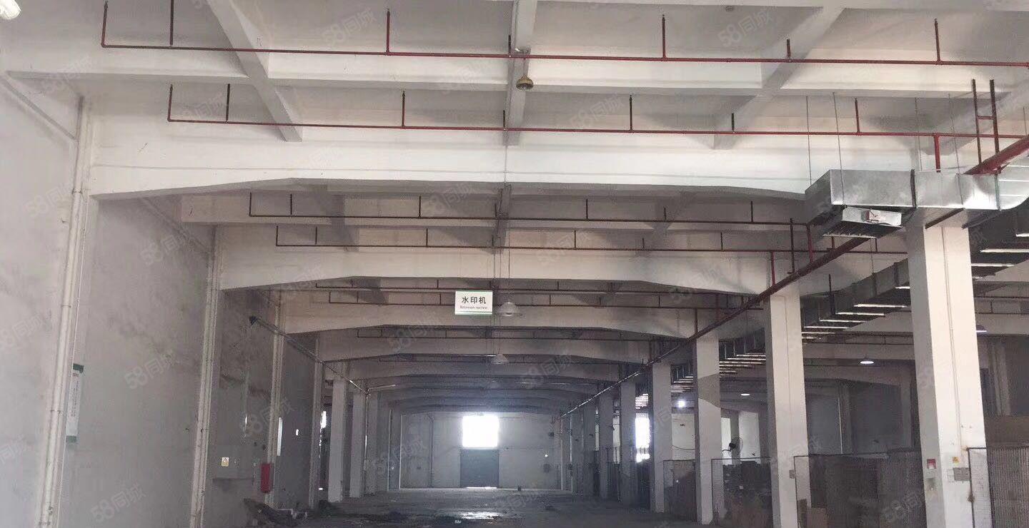 水口12000平方两层空地超大