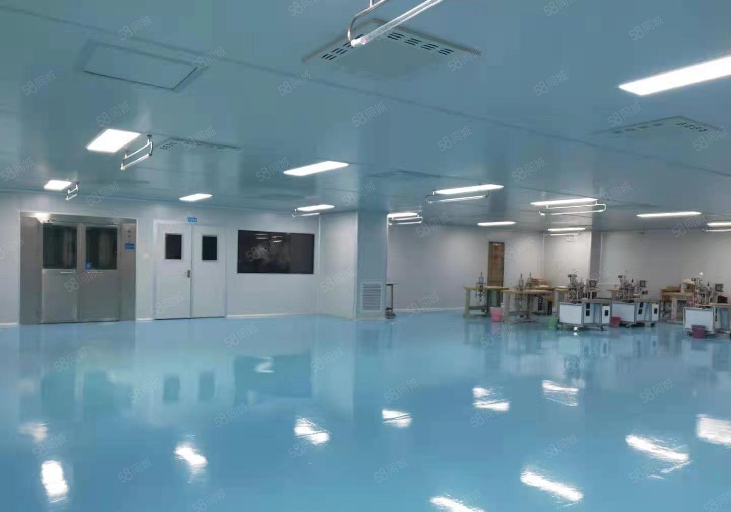 惠城小金口独院一楼1000平高6米低价厂房出租200起租可分