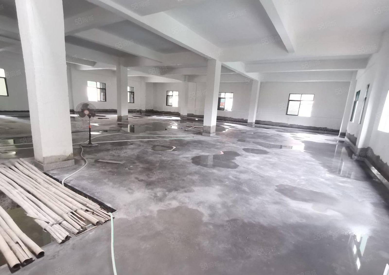 小金口全新标准独门独院1100平方厂房出租