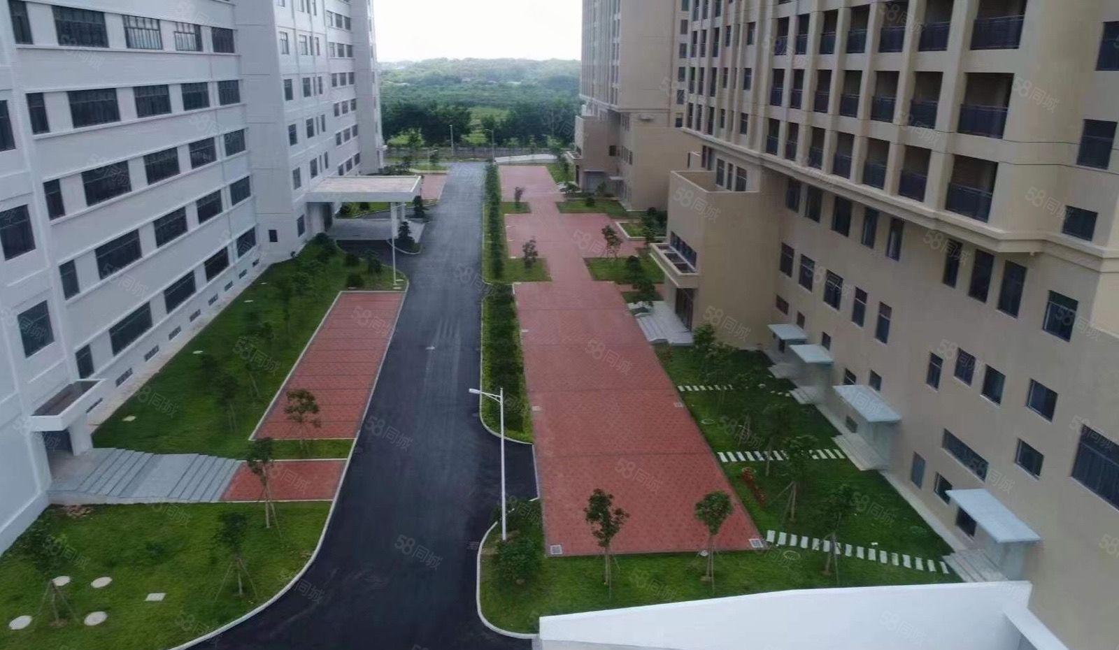 水口全新红本花园式厂房楼上厂房11元起租 可任意分租