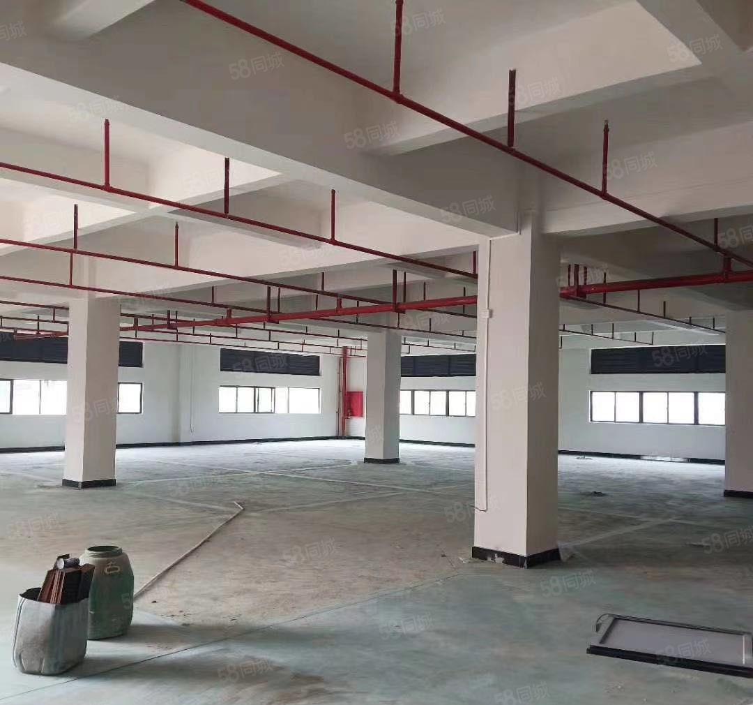 水口中心工业区独院三层3700平方厂房出租可进大车