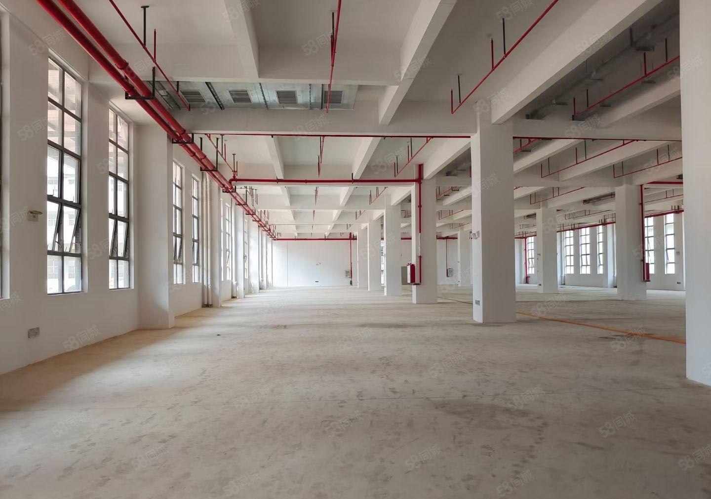 马安镇一楼2600平方二楼2600平方全新红本厂房出租可分租