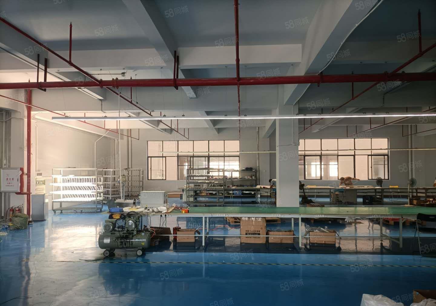 水口红本厂房2000平 租金12元 可分租 形象佳