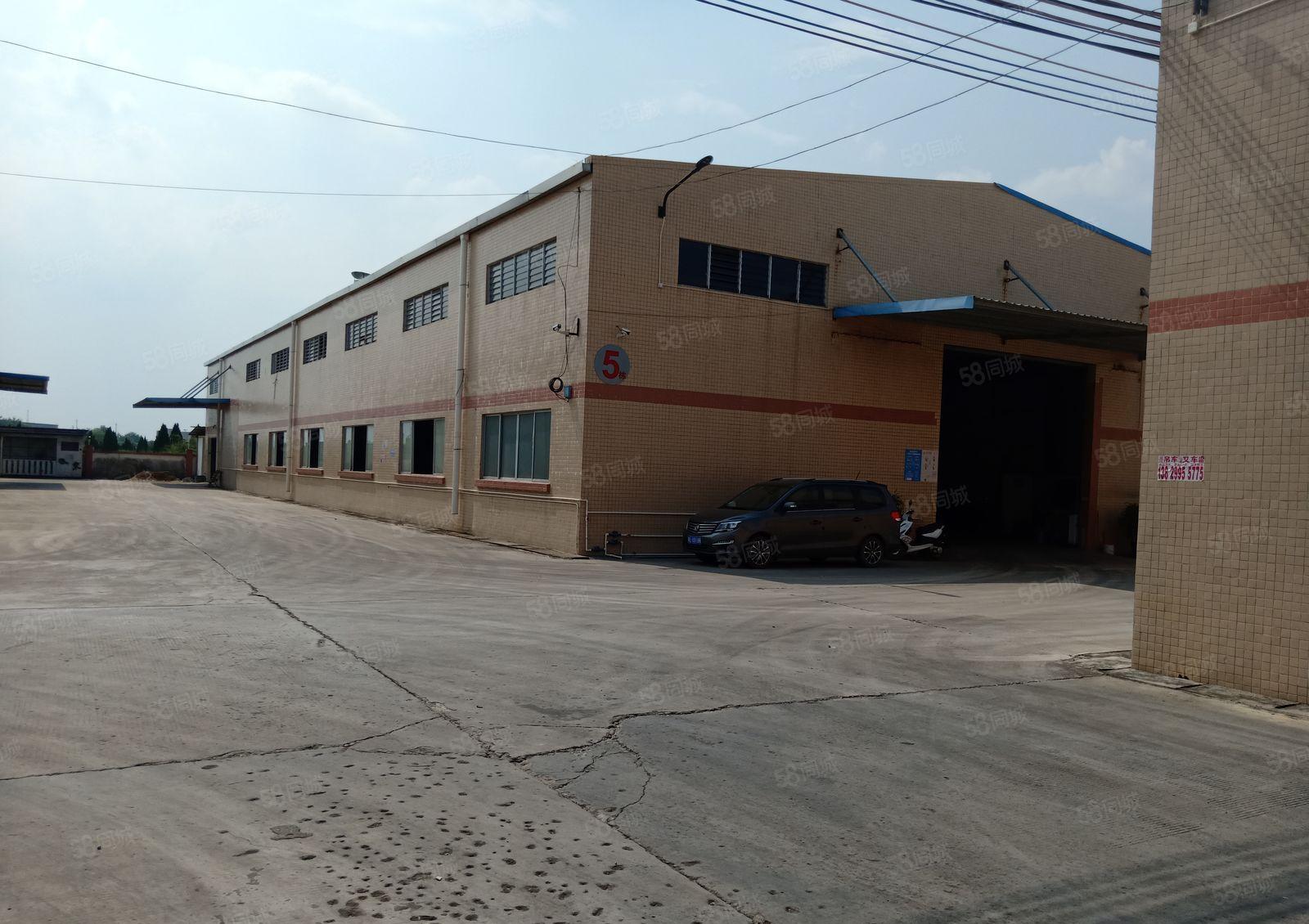 惠城区河南岸园区原房东单一层钢构3000平方厂房出租可分租