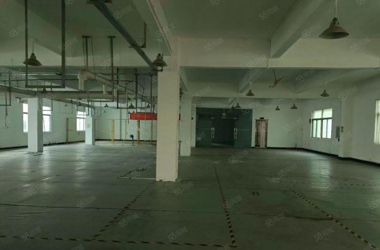 马安新乐四楼900平米厂房招租