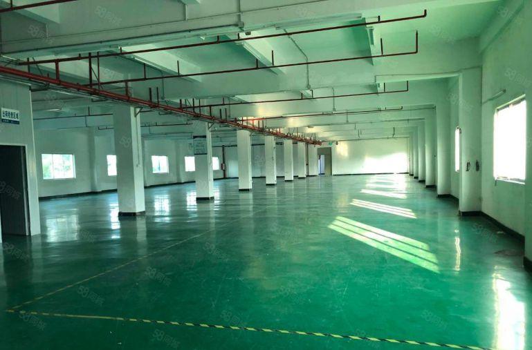 水口独院3层3000平方出租