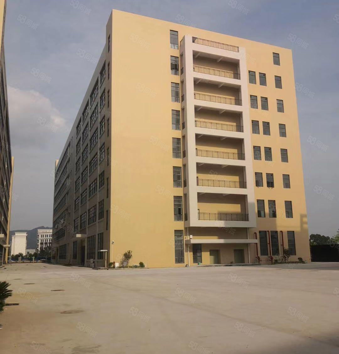 马安工业区全新标准厂房出租 750平方 交通方便