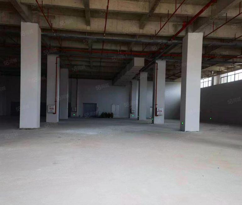 马安一楼标准厂房，2030平米，高7.2米