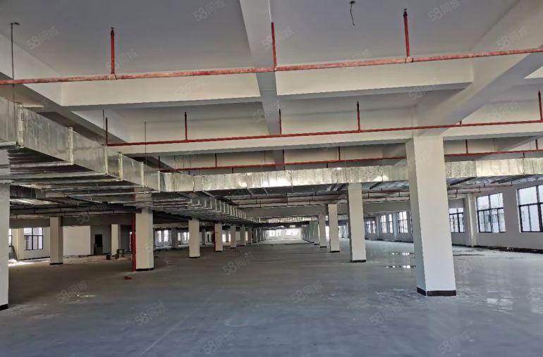 惠城小金口全新原房东独门独院高标准厂房出租详情来电咨询