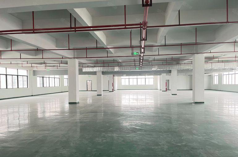 （现成装修）小金口8块每平全新厂房