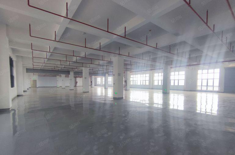 马安厂房出租单层1300平所有楼层全新地坪漆主线到车间价格优