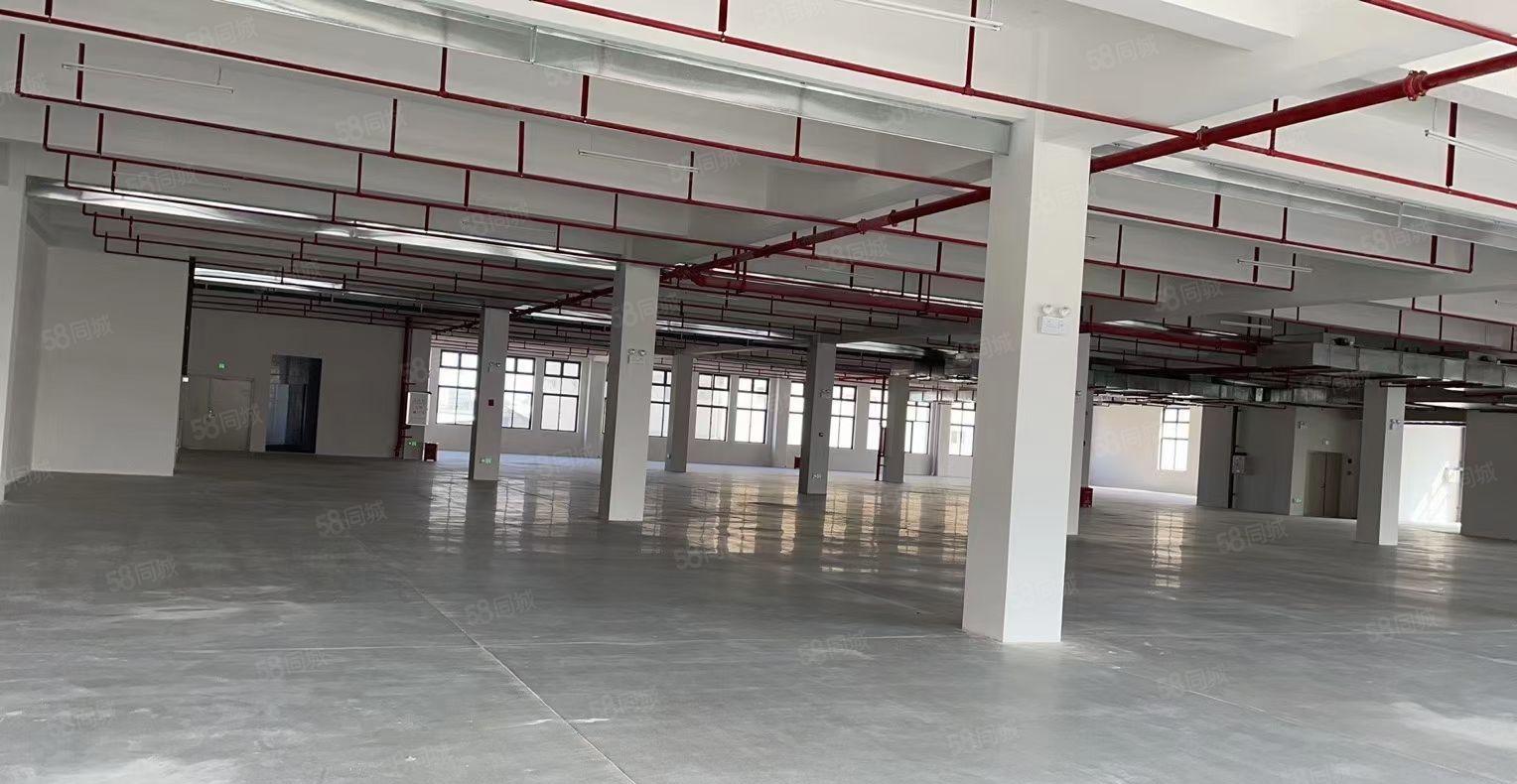 惠城江北物流园一二层约11000平方带卸货平台厂房仓库招租