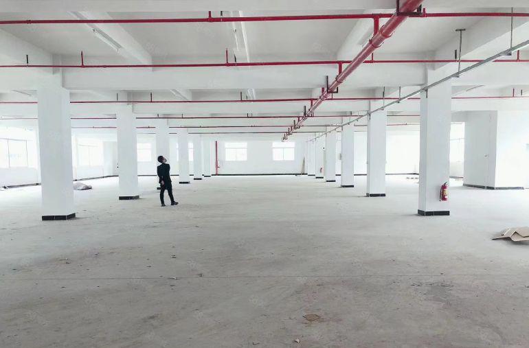 10元！三栋数码园新出一楼二楼2000平标准厂房仓库低价出租