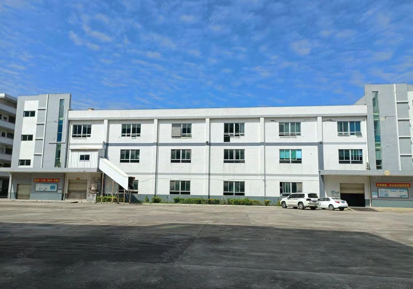 马安新湖工业区一楼650平方厂房仓库招租