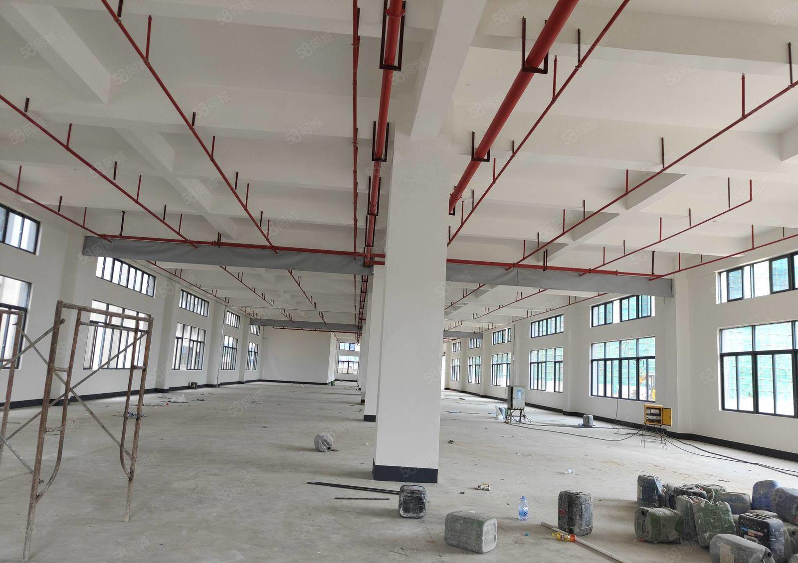 水口与龙湖大道边 标准厂房1楼1350平米出租 部分楼上