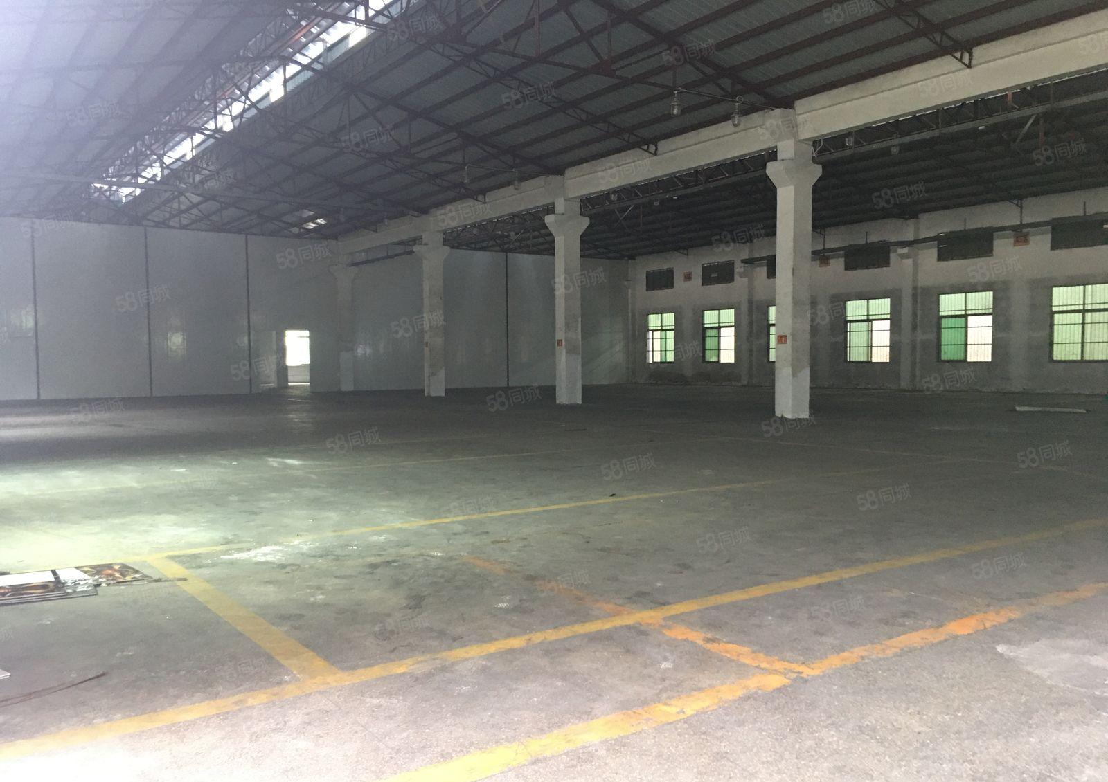 惠城水口中心工业区独院3900平原房东钢构仓库厂房出租可分租