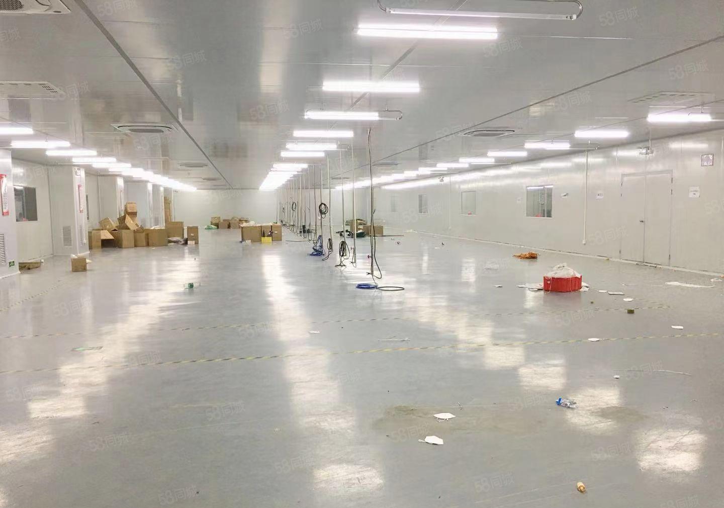 惠城区小金口标准工业园区2楼3楼无尘车间2350平方招租