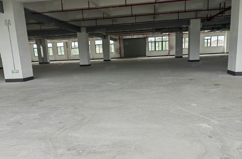 厂房出租惠城区三栋镇独栋标准厂房红本环评可整可分一楼带牛角