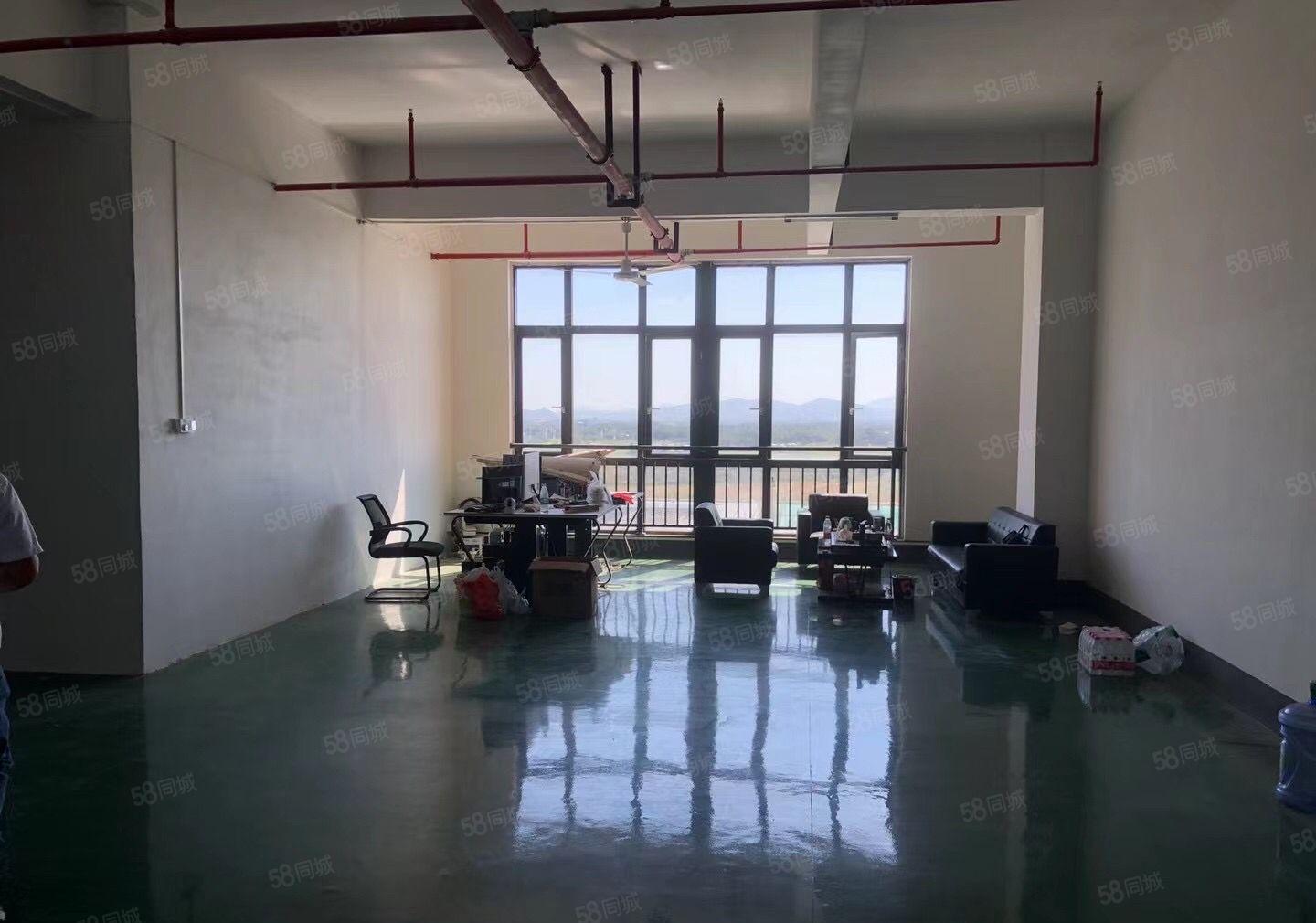 全新工业园红本钢构厂房，带宿舍办公室，超大空地