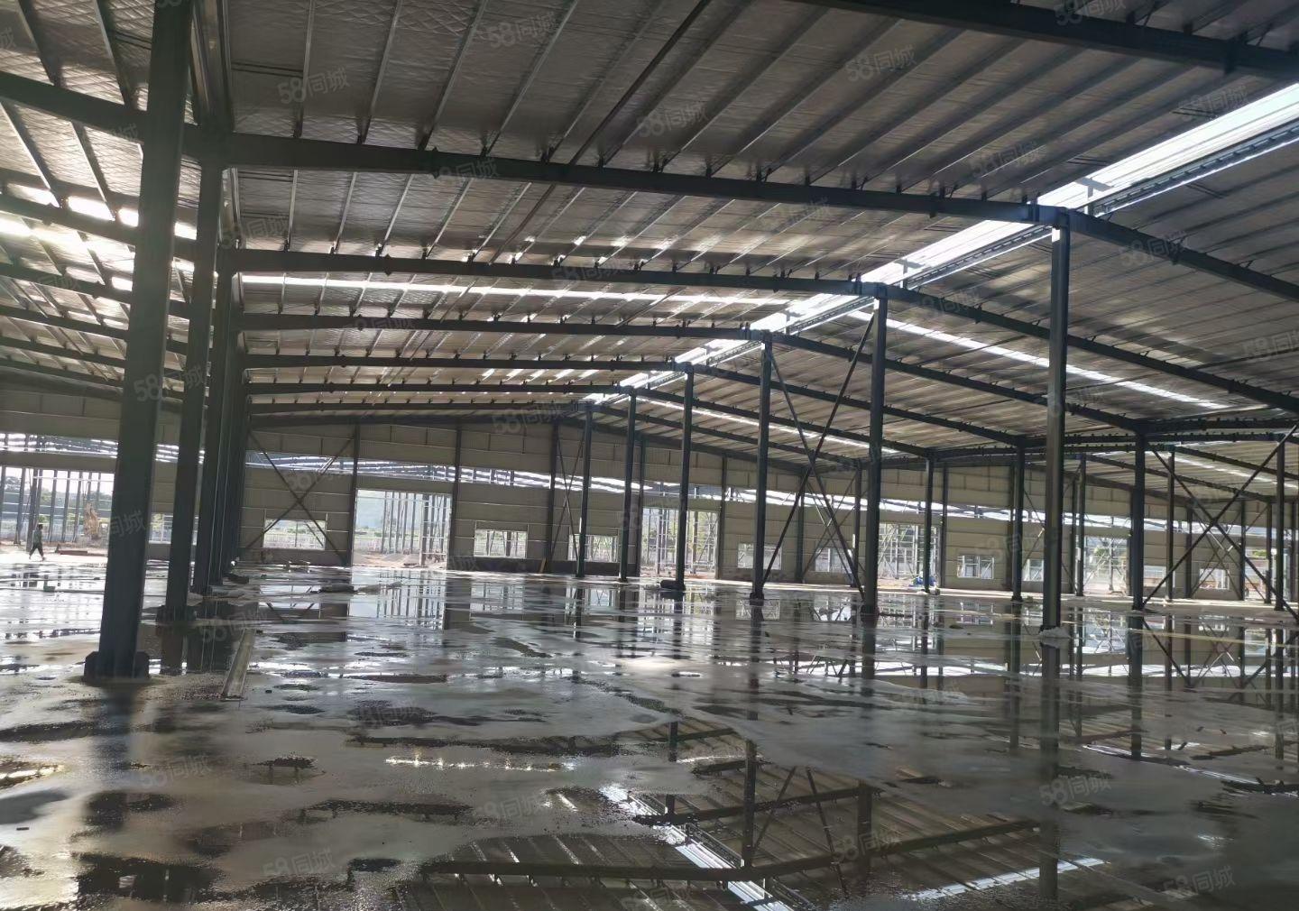 小金口全新原房东独院钢构3300平方，空地3000平方