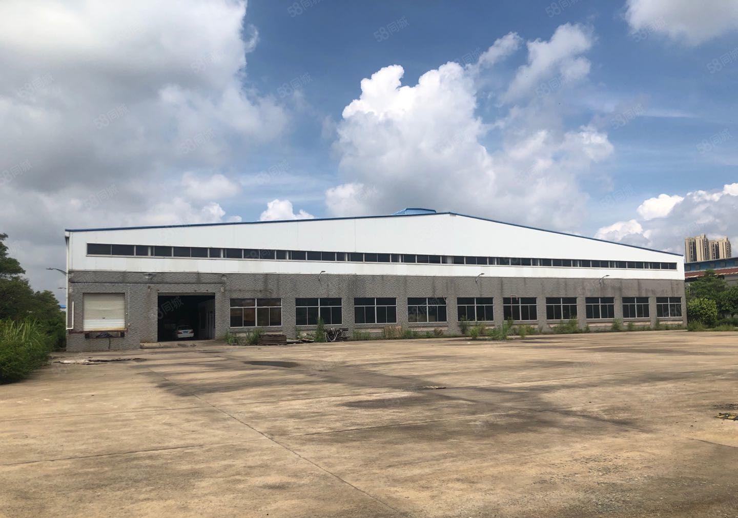 惠城区马安镇滴水11米国有证钢构厂房招租