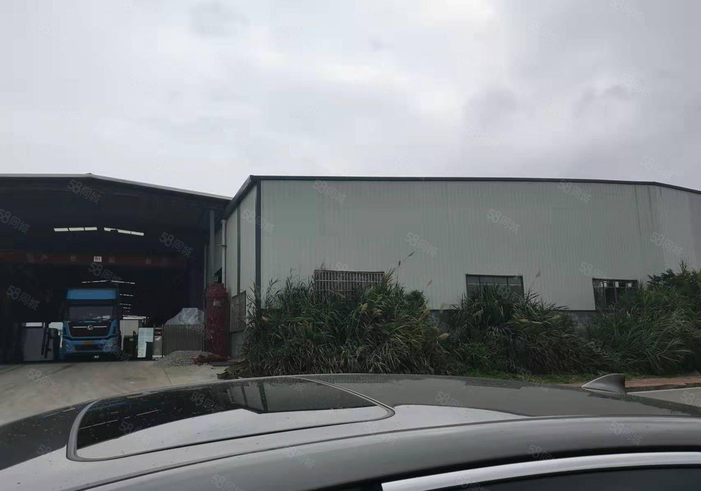 三栋新空出钢构厂房价格实惠