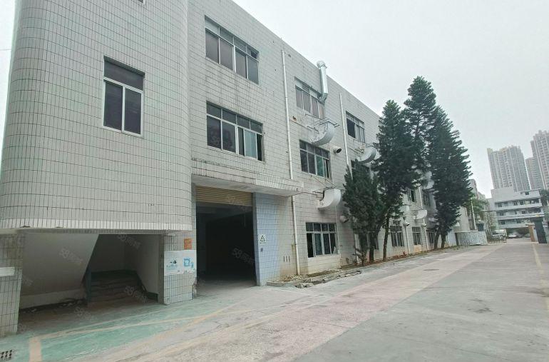 惠城小金口2000平出房源原房东低价出租产业园交通便利可分租