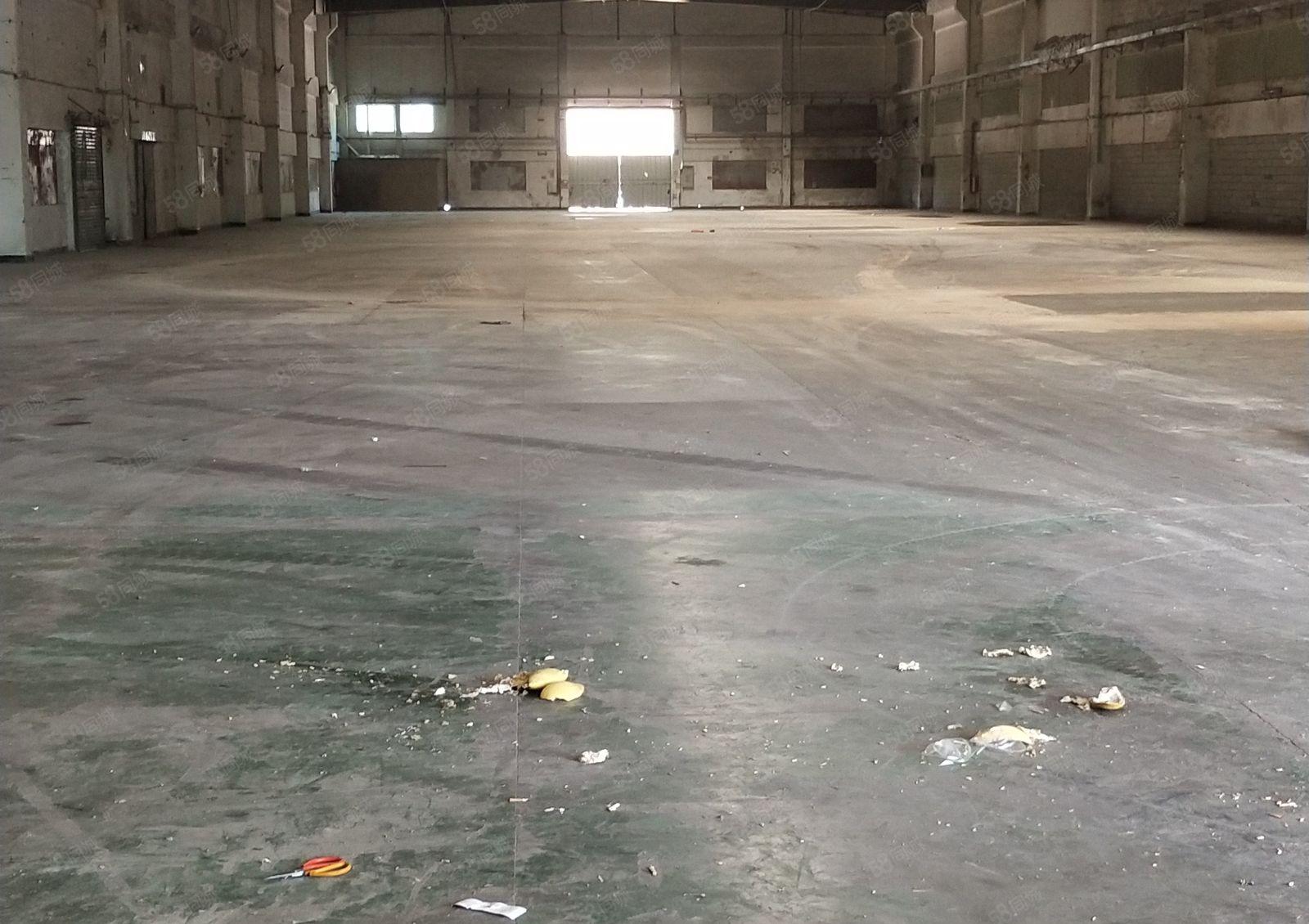 水口东江工业区4600平米11米高独院钢构厂房出租